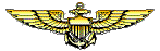 pilotwng1.gif