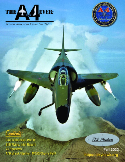 Fall 2023 (Vol. 29 No. 3) cover