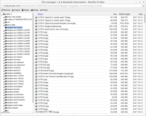 ckeditor-screenshot1-filemngr.png