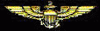 pilotwng.gif