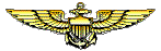 pilotwng1.png