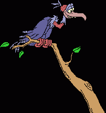 vulture-scared.gif