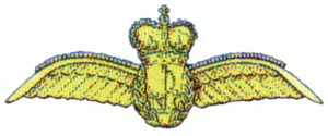 wings-ran-metal-faa_thompson.gif