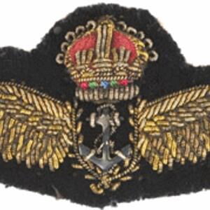 wings-ran-woven-faa_thompson.gif