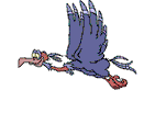 funny-bird-flying.gif
