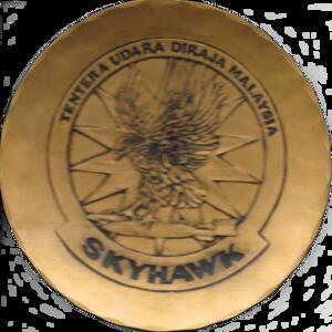 ptm-plaque_0.png