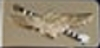 tailhookclip_thumbnail.jpg