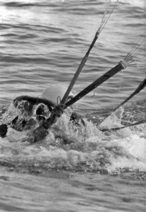 water-chute-trng.jpg