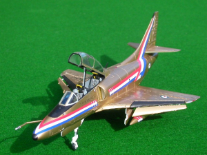 model-gold11_sam-hall.jpg