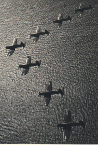 f4u-v.jpg