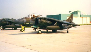 Harrier 11