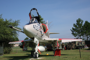 2008-6-121.jpg