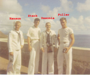 hanson-steck-desonia-fuller-hawaii_copher.jpg