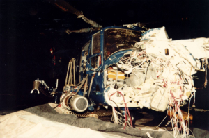 lynx2_guillen.jpg