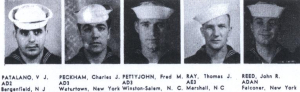 vf84em16.jpg