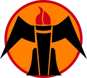 insignia-flying-school-advanced-fighter.jpg