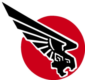 insignia-flying-wing.jpg