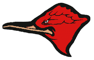 va36bird.gif